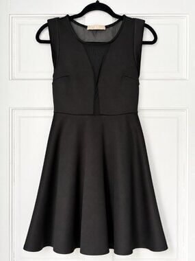 Malloy Black Sleeveless Fit & Flare Mini Dress Sheer Mesh